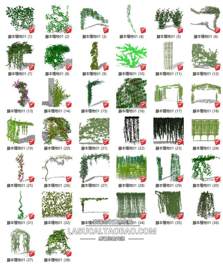 藤本绿植植物SU模型爬藤藤蔓攀爬植物垂吊绿墙sketchup组-景观建筑资源