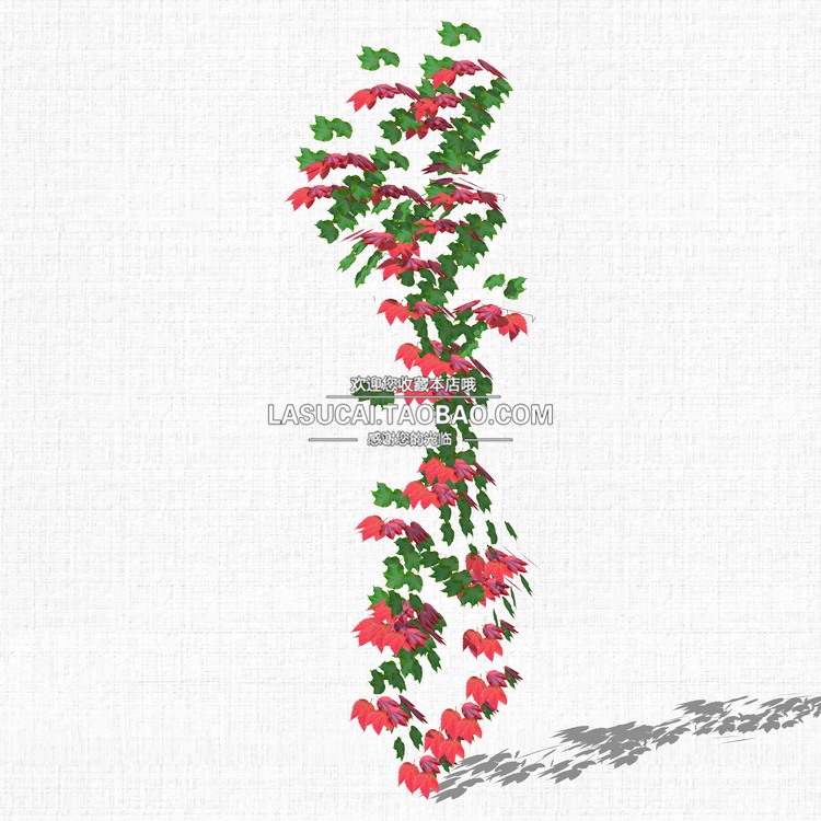 藤本绿植植物SU模型爬藤藤蔓攀爬植物垂吊绿墙sketchup组-景观建筑资源