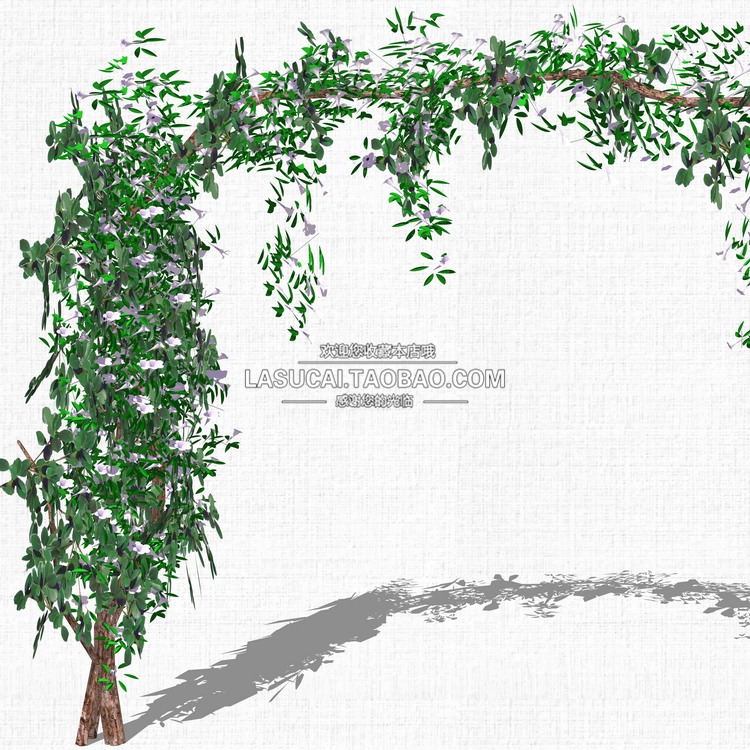 藤本绿植植物SU模型爬藤藤蔓攀爬植物垂吊绿墙sketchup组-景观建筑资源