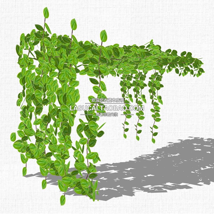 藤本绿植植物SU模型爬藤藤蔓攀爬植物垂吊绿墙sketchup组-景观建筑资源