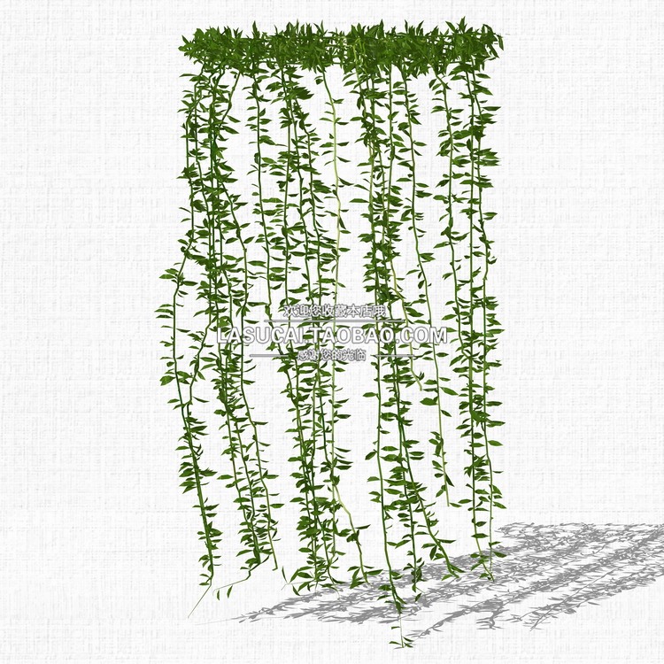 藤本绿植植物SU模型爬藤藤蔓攀爬植物垂吊绿墙sketchup组-景观建筑资源