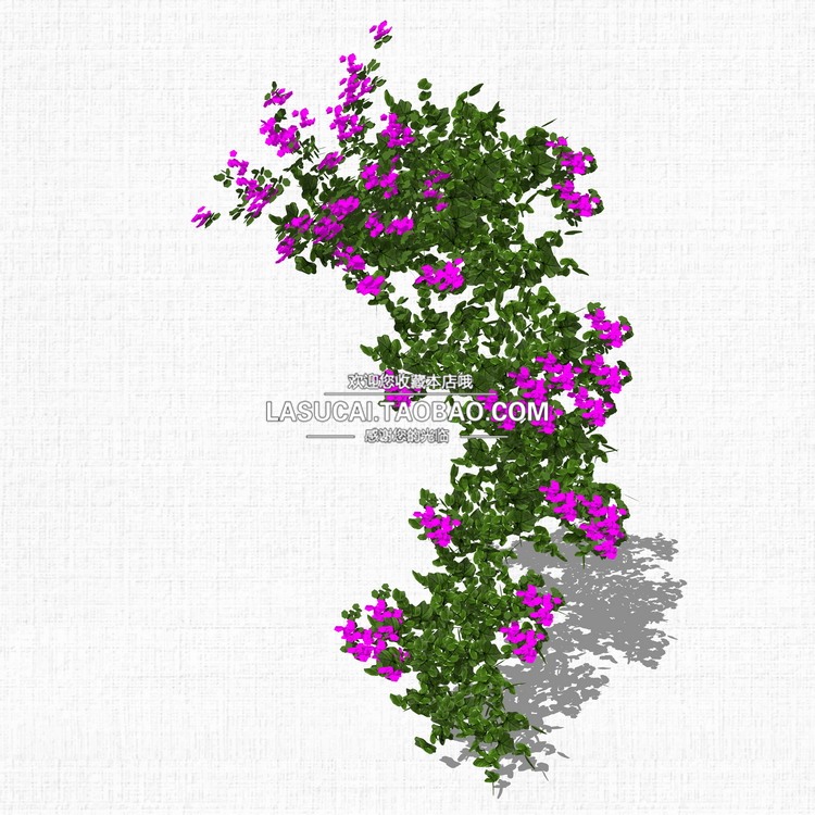 藤本绿植植物SU模型爬藤藤蔓攀爬植物垂吊绿墙sketchup组-景观建筑资源