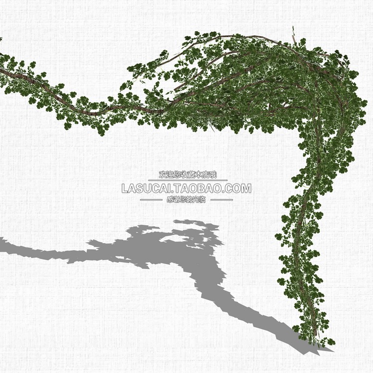 藤本绿植植物SU模型爬藤藤蔓攀爬植物垂吊绿墙sketchup组-景观建筑资源