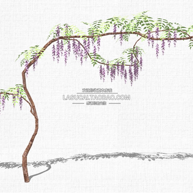 藤本绿植植物SU模型爬藤藤蔓攀爬植物垂吊绿墙sketchup组-景观建筑资源