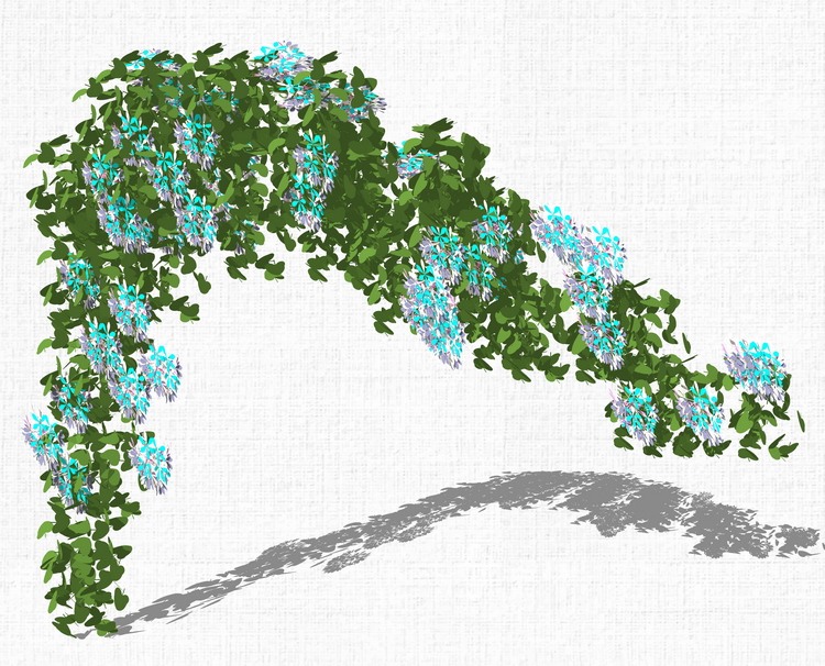 藤本绿植植物SU模型爬藤藤蔓攀爬植物垂吊绿墙sketchup组-景观建筑资源