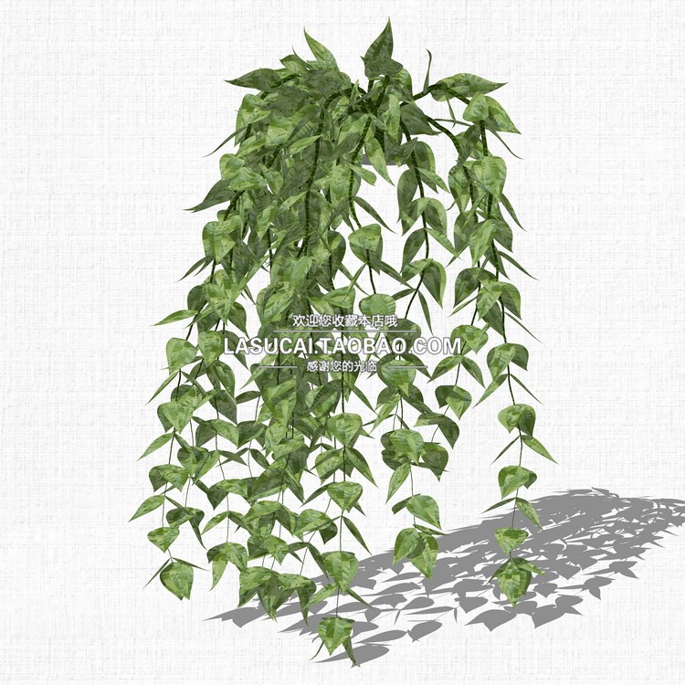 藤本绿植植物SU模型爬藤藤蔓攀爬植物垂吊绿墙sketchup组-景观建筑资源