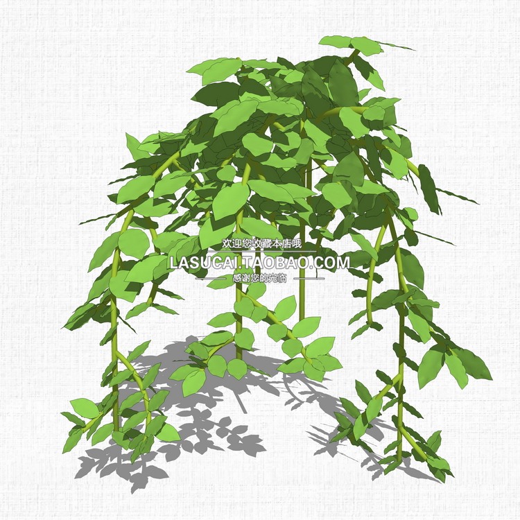 藤本绿植植物SU模型爬藤藤蔓攀爬植物垂吊绿墙sketchup组-景观建筑资源