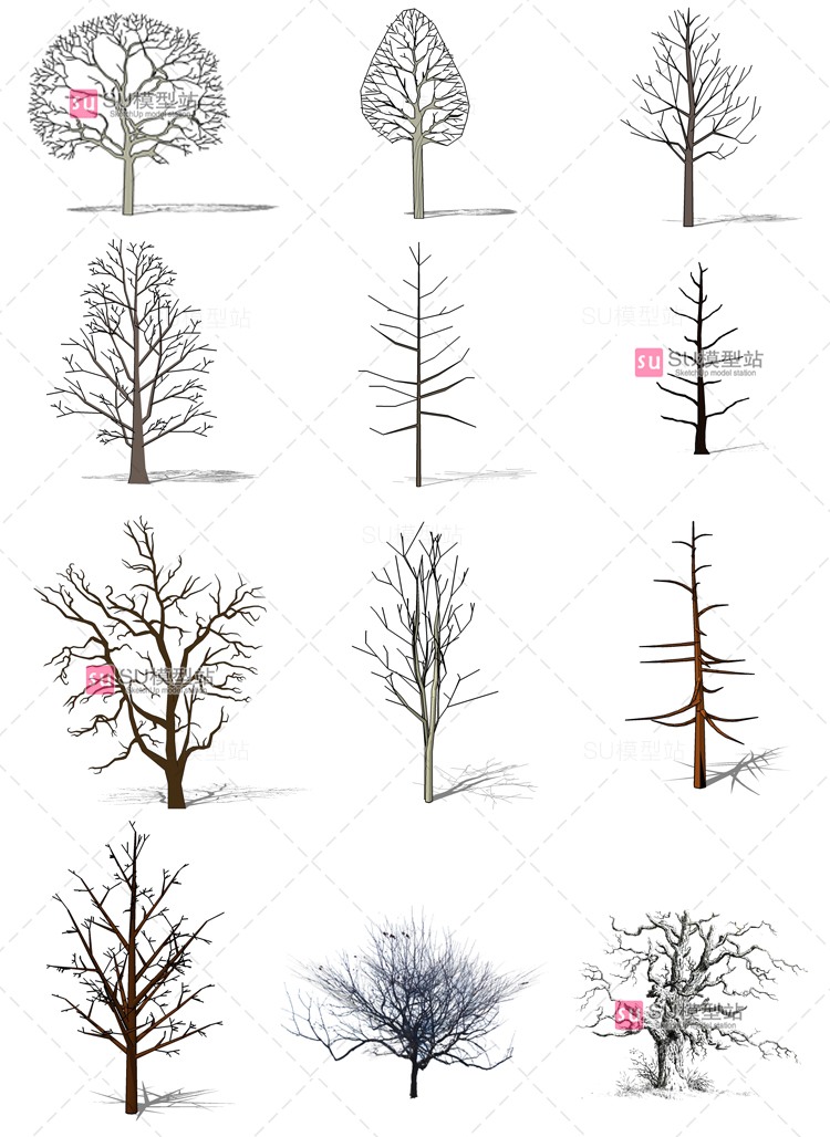 枯树SU模型SU模型草图模型枯树叶树枝树干树桩树墩枯树2D/3D-景观建筑资源