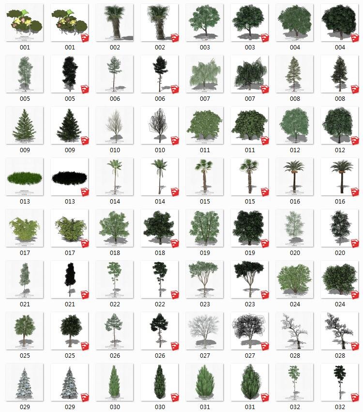 景观室外植物sketchup乔木松树柳树热带树荷花园林su模型