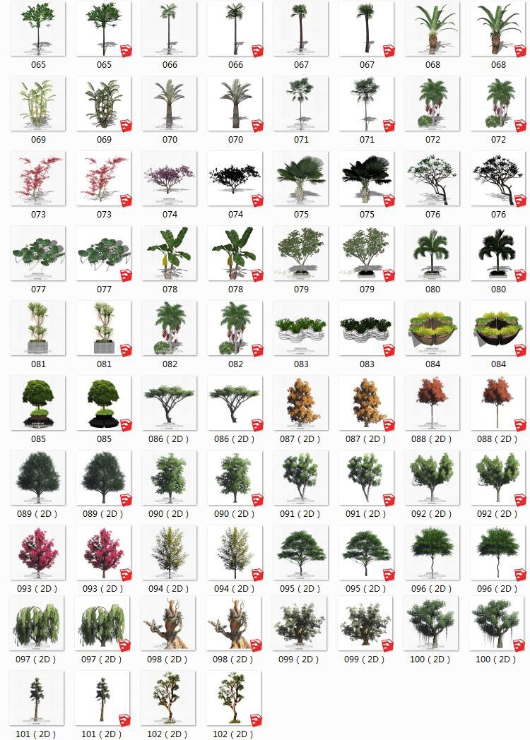 景观室外植物sketchup乔木松树柳树热带树荷花园林su模型