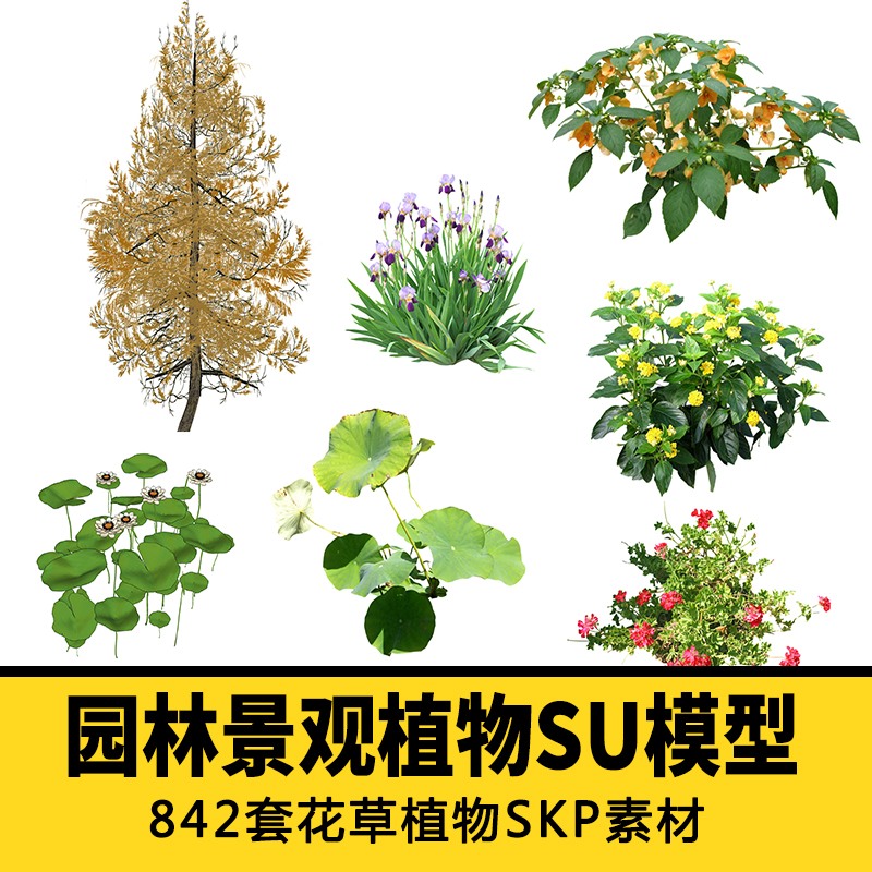 自然植物景观花草树木园林素材SUSU模型草图模型模型sketchup-景观建筑资源