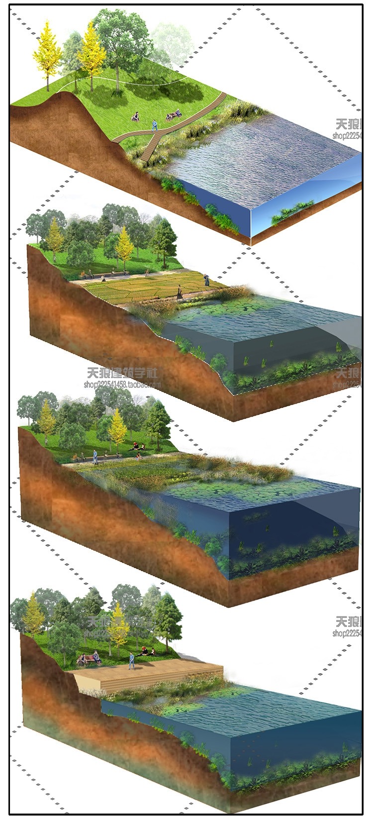 园林景观驳岸类型剖视图透析图公园景观游览观光设计PSD后期素-景观建筑资源