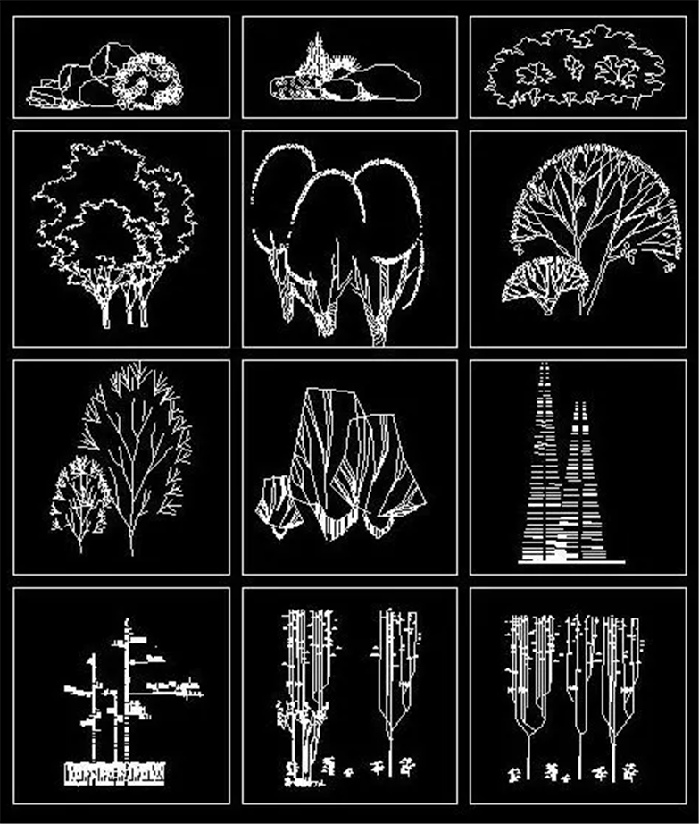 设计院必备常用景观植物CAD平立面合集