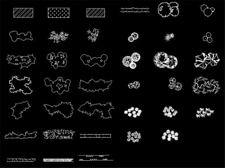 设计院必备常用景观植物CAD平立面合集
