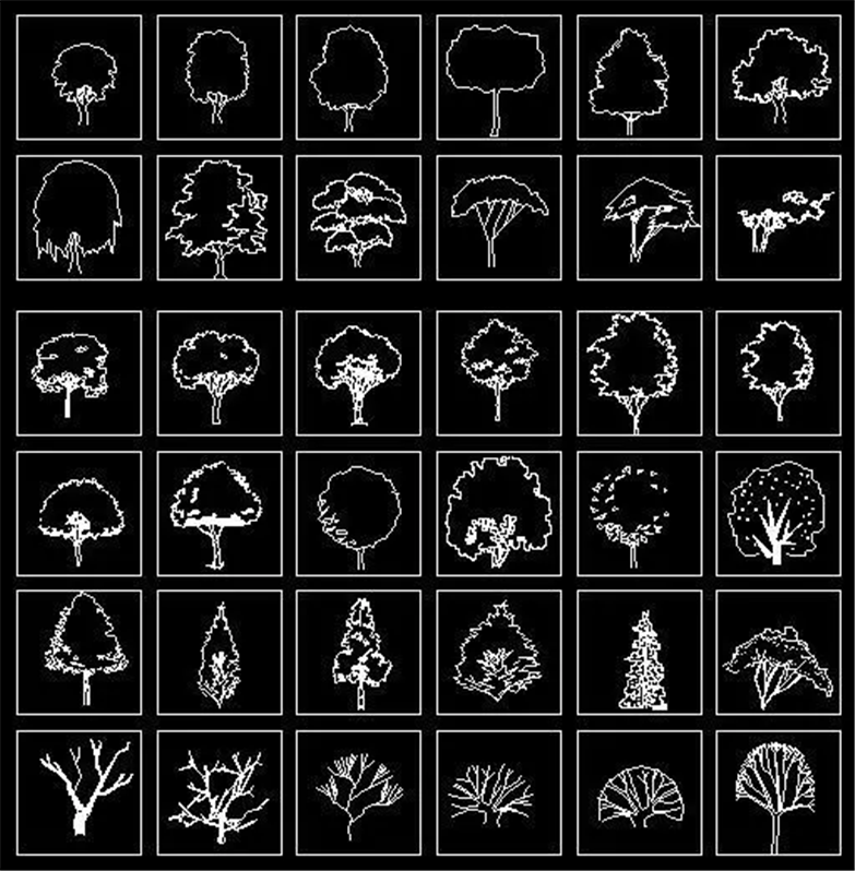 设计院必备常用景观植物CAD平立面合集