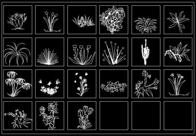 设计院必备常用景观植物CAD平立面合集