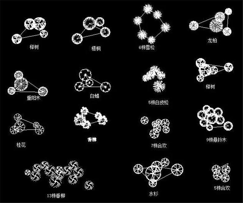 设计院必备常用景观植物CAD平立面合集