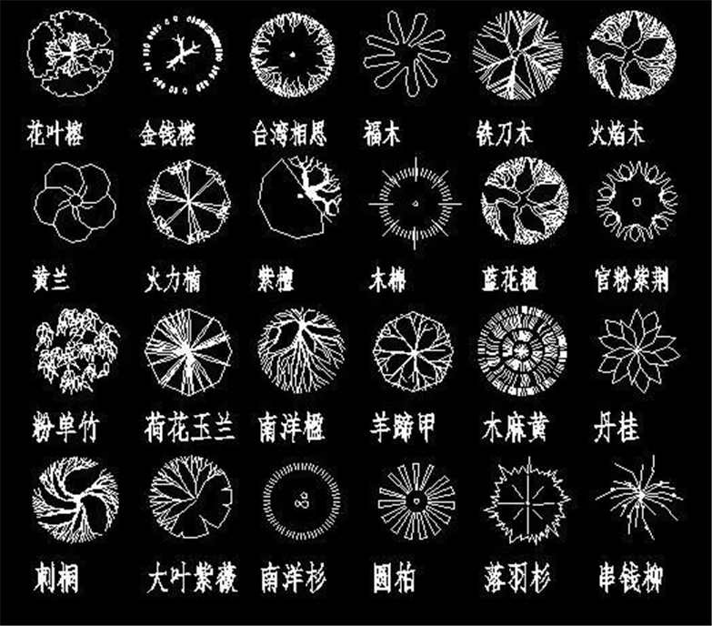 设计院必备常用景观植物CAD平立面合集