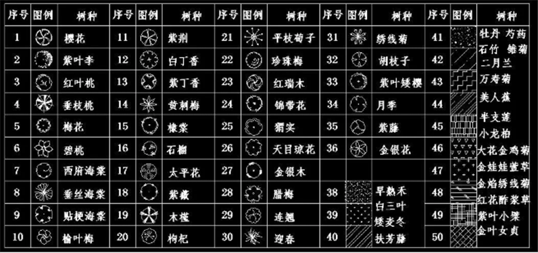 设计院必备常用景观植物CAD平立面合集