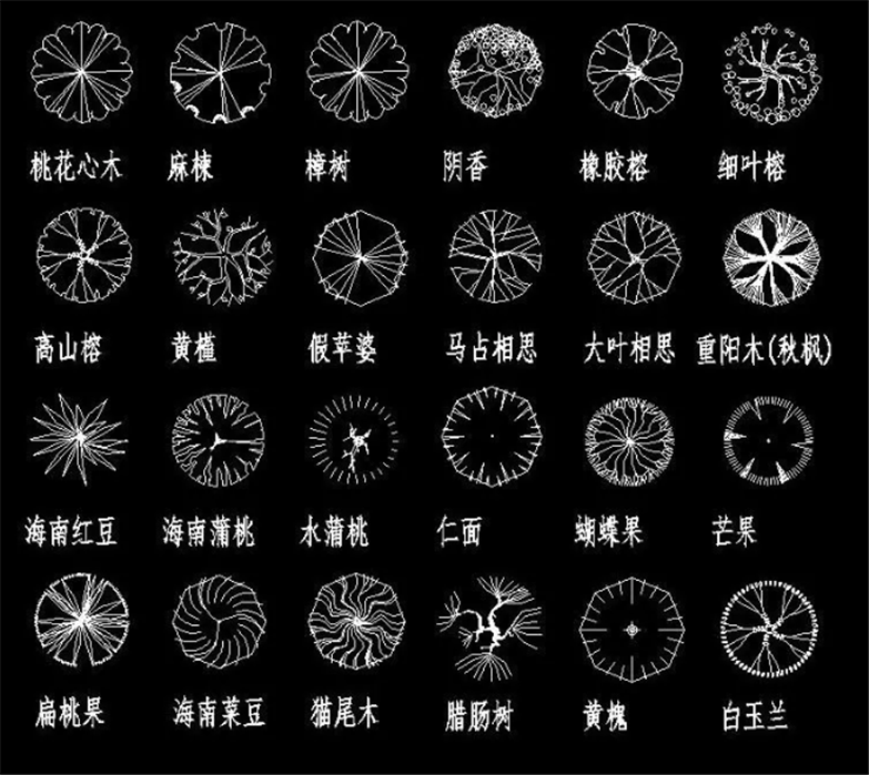 设计院必备常用景观植物CAD平立面合集