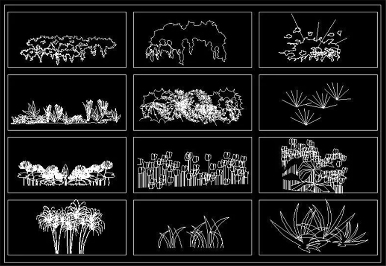 设计院必备常用景观植物CAD平立面合集