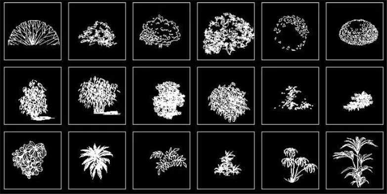 设计院必备常用景观植物CAD平立面合集