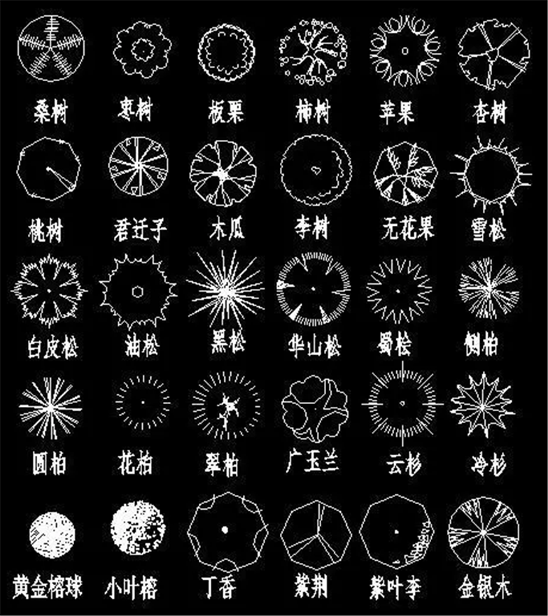 设计院必备常用景观植物CAD平立面合集