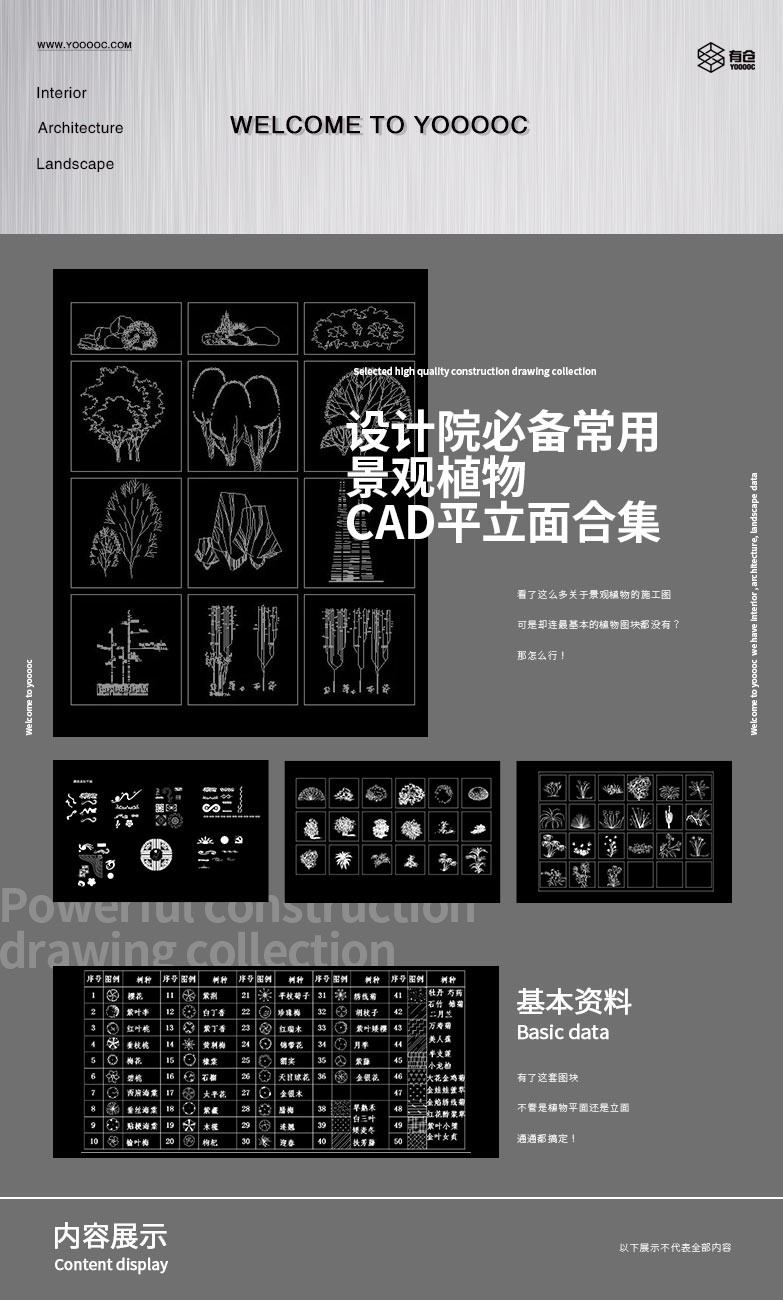 设计院必备常用景观植物CAD平立面合集