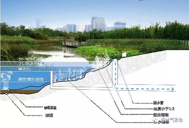 城市规划设计双修全套解析