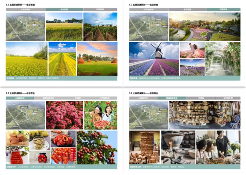 山水田园设计综合体总规规划策划方案文本