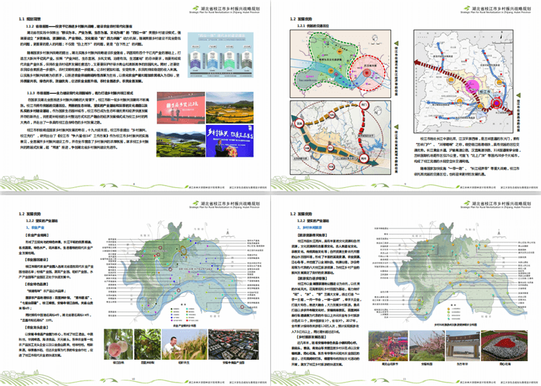 湖北省枝江市乡村振兴战略规划