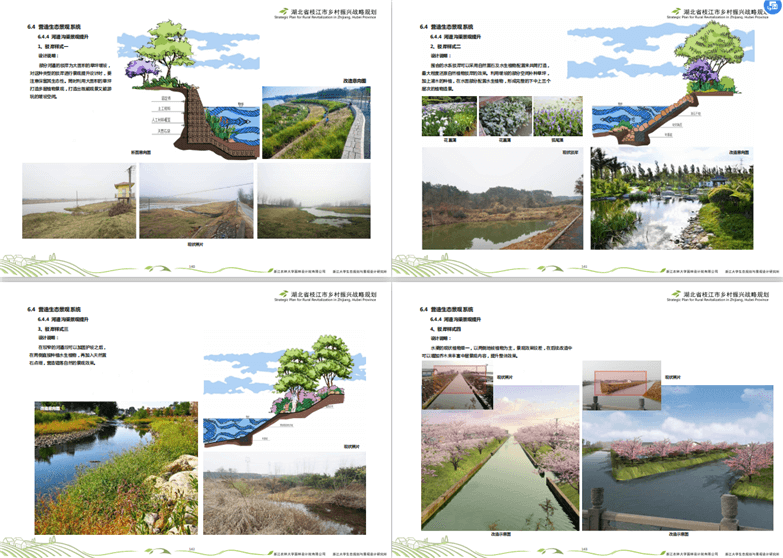 湖北省枝江市乡村振兴战略规划