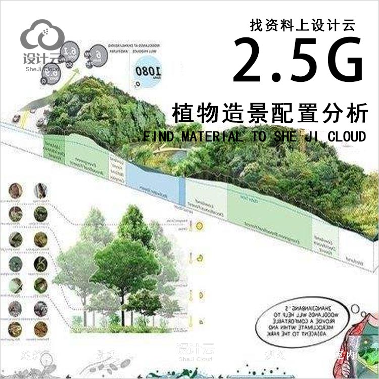 25G园林植物造景配景分析