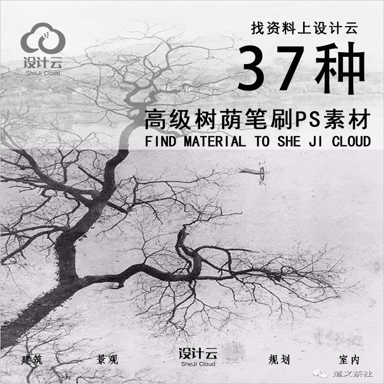 设计资源-37种高级树荫笔刷PS素材剪影效果