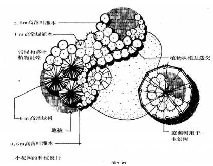 园林植物配置平面图学习建筑景观规划资料|超级实用