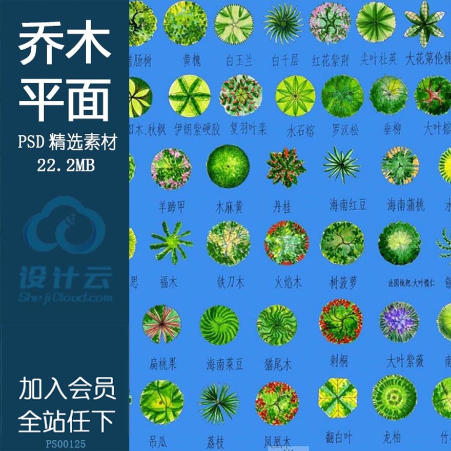 彩色总平-彩色乔木平面树psd分层素材植物灌木源文件填色专用...