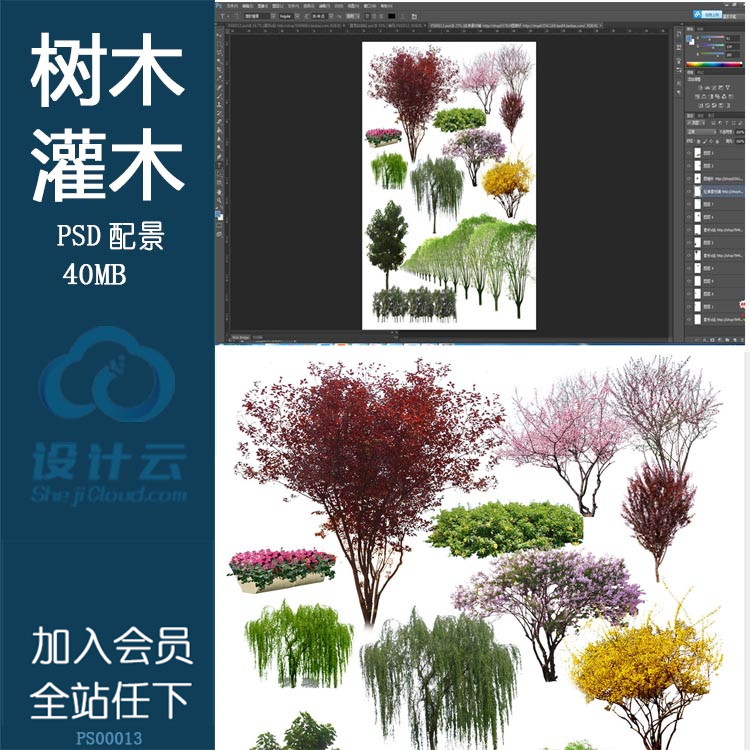 彩色总平-树木灌木单体psd分层素材ps源文件后期效果图背景