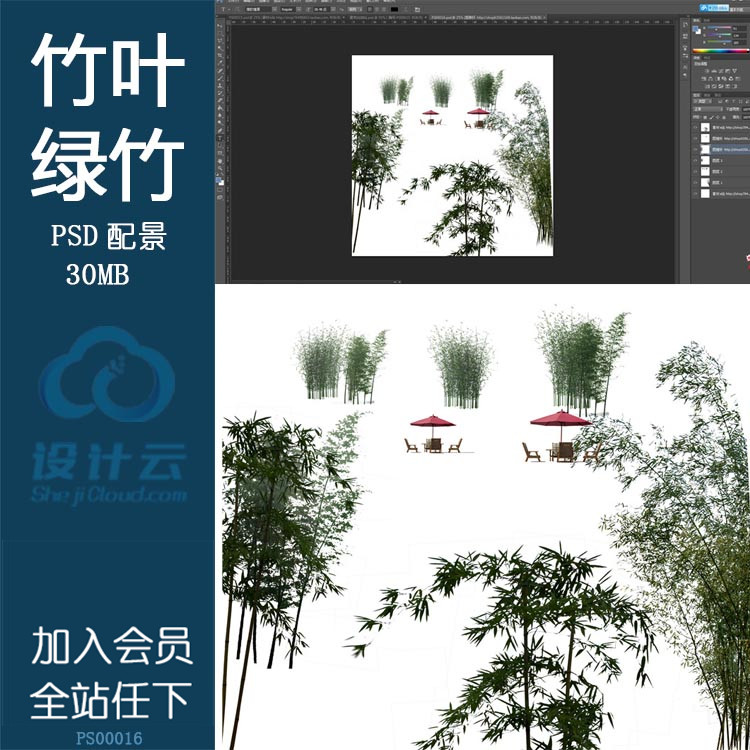 彩色总平-竹子psd分层素材ps源文件供效果图后期制作提供园林...