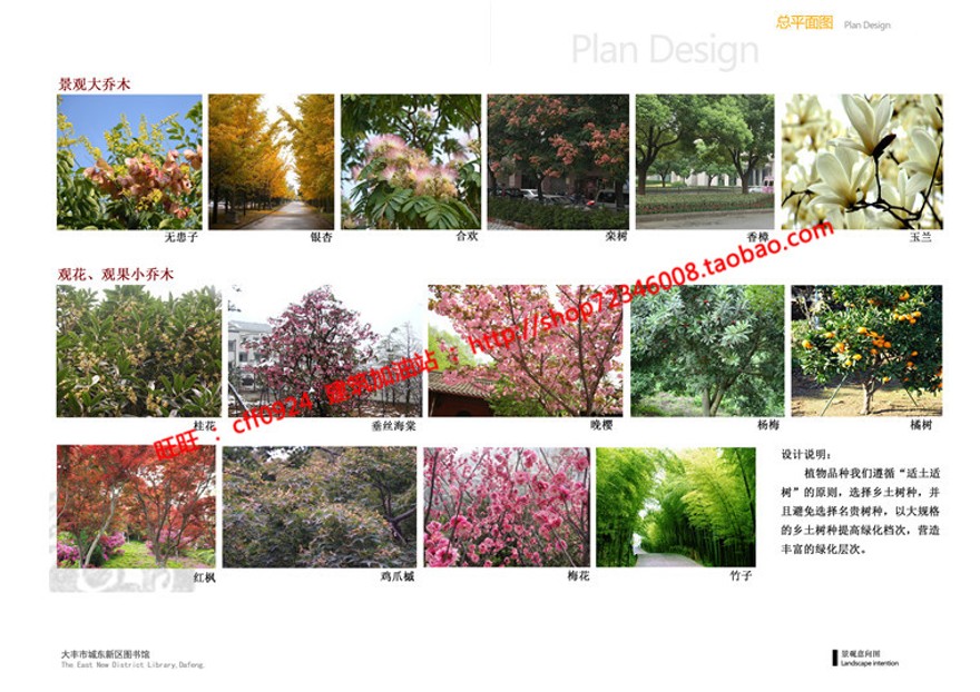 高清文本图书馆投标景观建筑规划项目cad总图平面su模型skp效果图