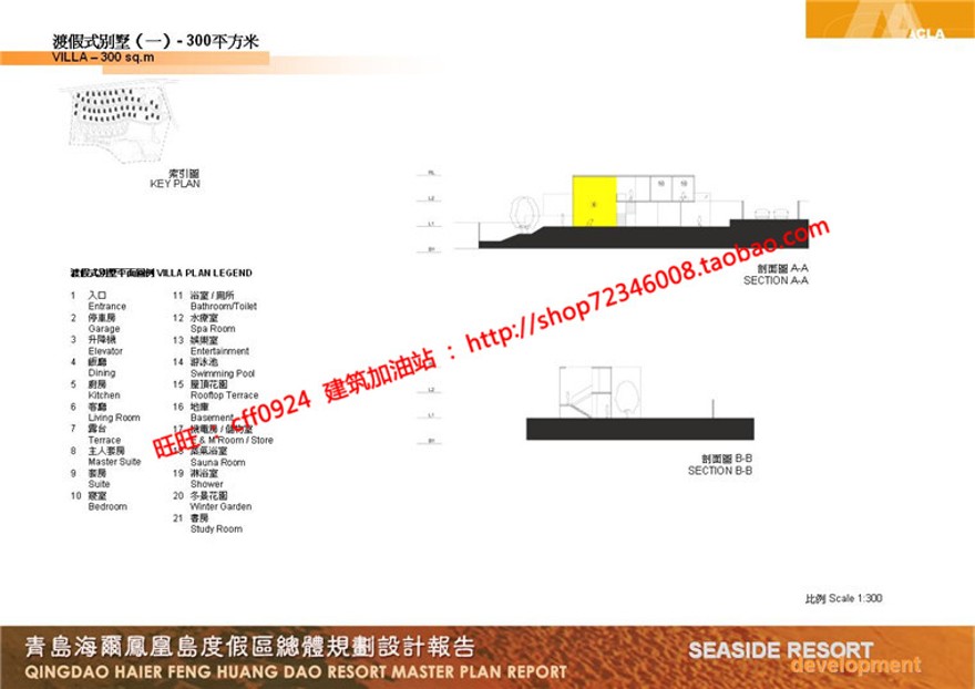 住宅区规划商业别墅群设计cad总图方案文本景观环境绿化彩平