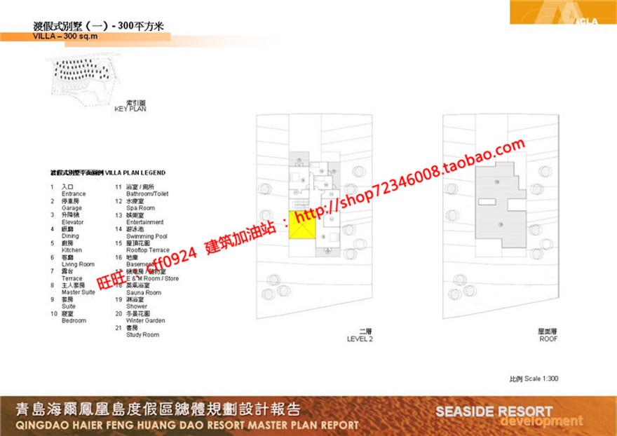 住宅区规划商业别墅群设计cad总图方案文本景观环境绿化彩平