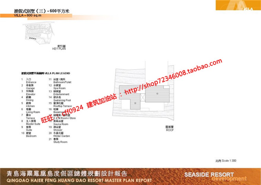 住宅区规划商业别墅群设计cad总图方案文本景观环境绿化彩平