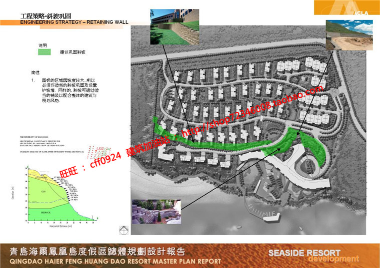 住宅区规划商业别墅群设计cad总图方案文本景观环境绿化彩平