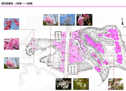 方案文本_河南樱花主题设计特色旅游温泉度假风游览观光规划设计方案