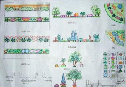 某城市规划设计道路设计环境绿化设计方案