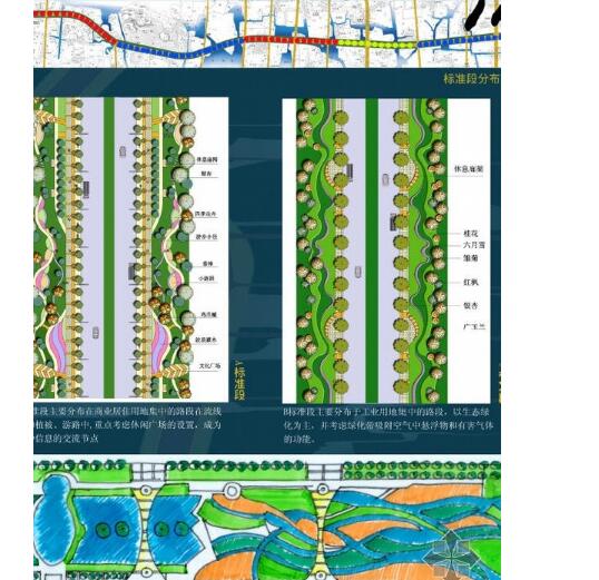 湖州市某道路设计环境绿化景观带规划设计方案