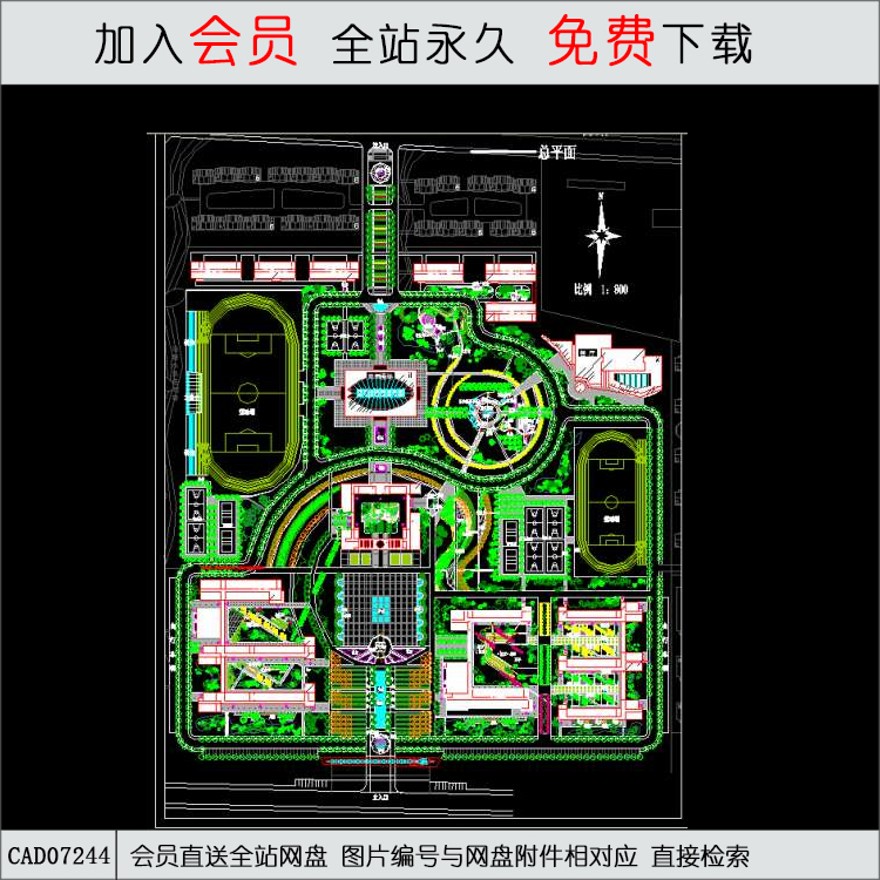 学校-CAD方案平面图/立剖面图/施工图系列