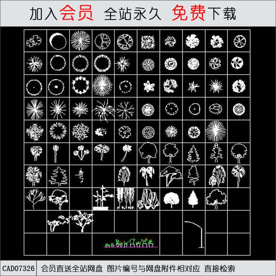 植物图库-CAD方案平面图/立剖面图/施工图系列