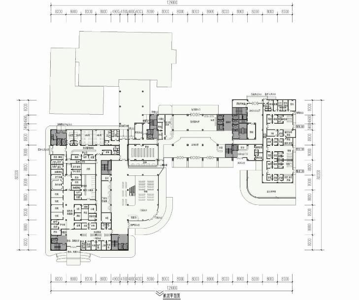 医院CAD图纸-CAD方案平面图/立剖面图/施工图系列