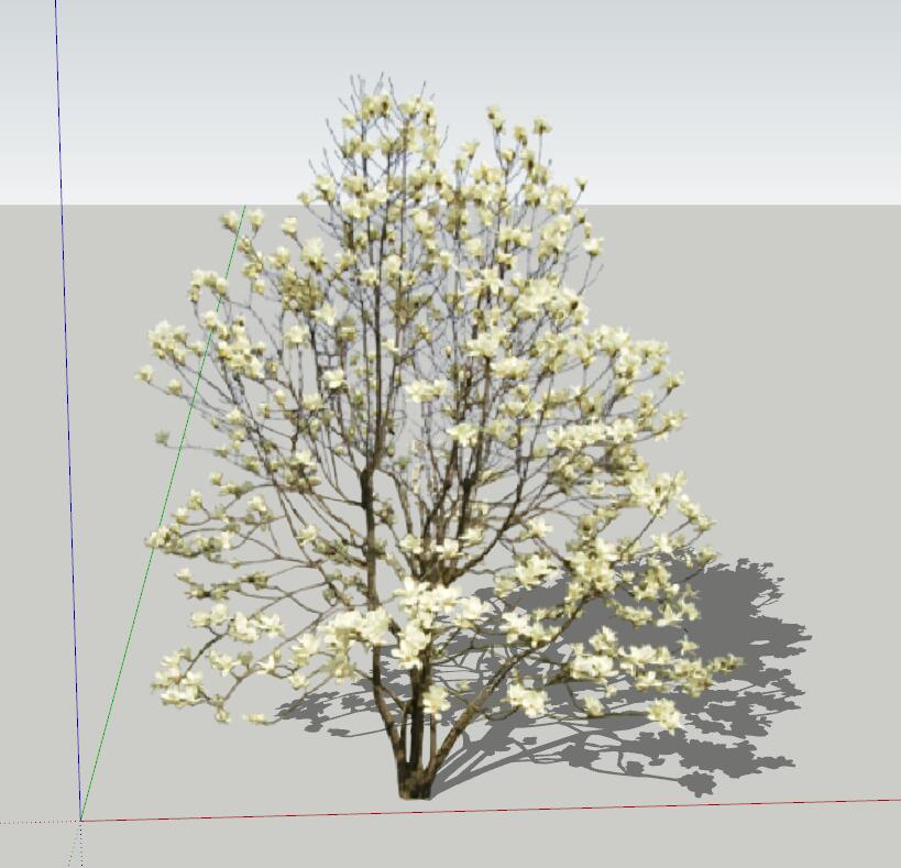 实景花乔sketchup模型1-SU建筑景观室内模型